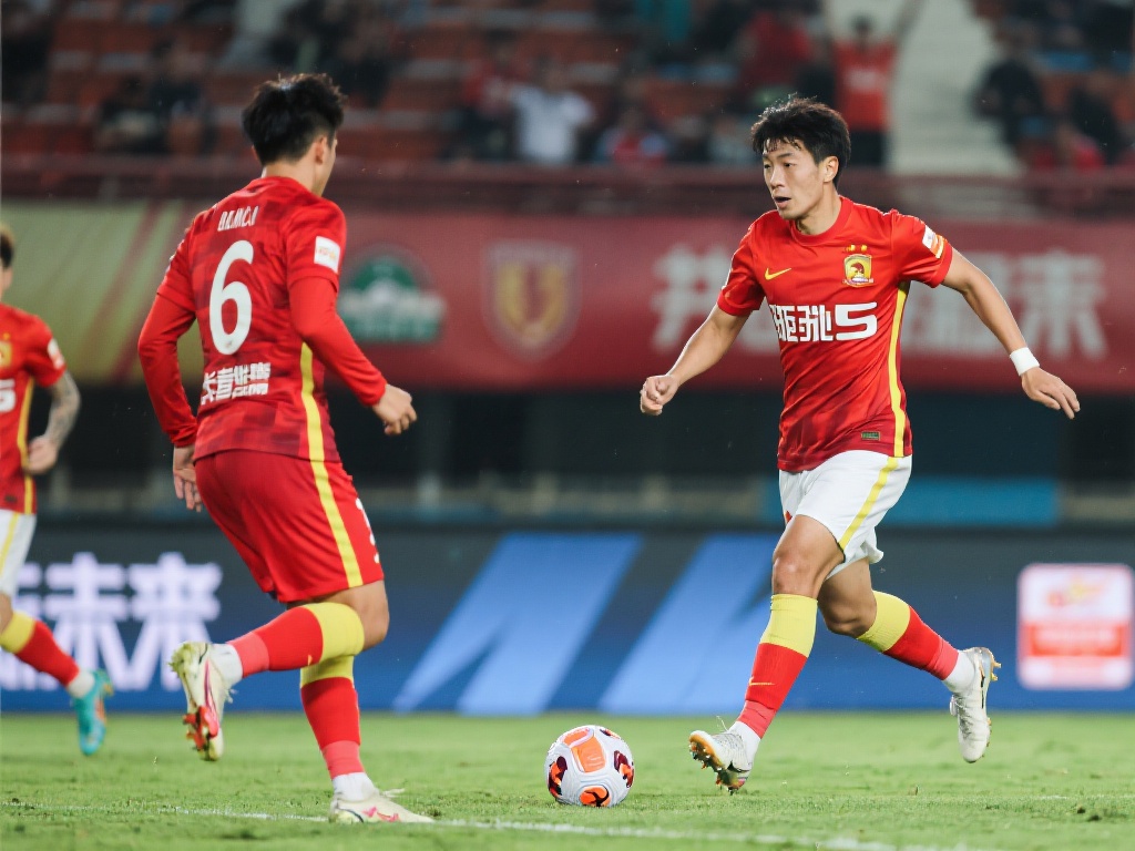 但整体实力 但整体实力